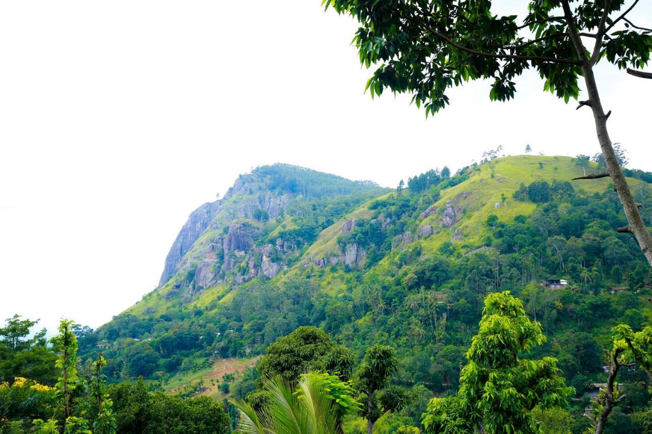Ella Country House Bagian luar foto