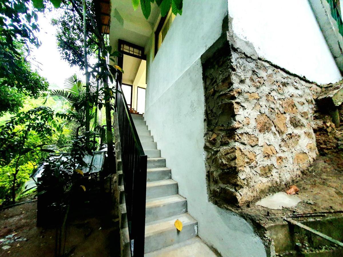 Ella Country House Bagian luar foto